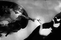Riverside Artists Group exhibition - Do Geese See God?